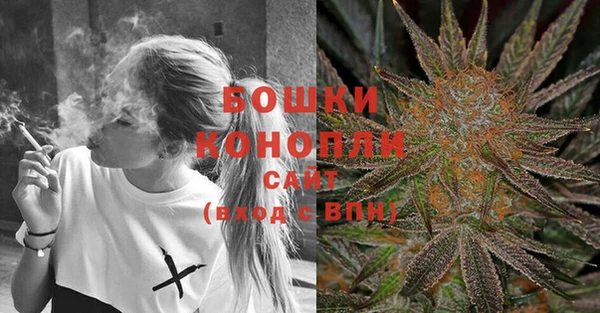 PSILOCYBIN Мегион