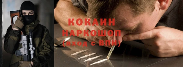 бошки Алексин