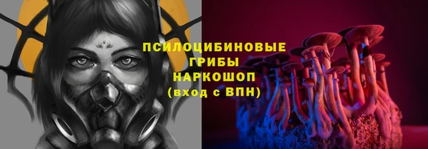 стафф Алексеевка