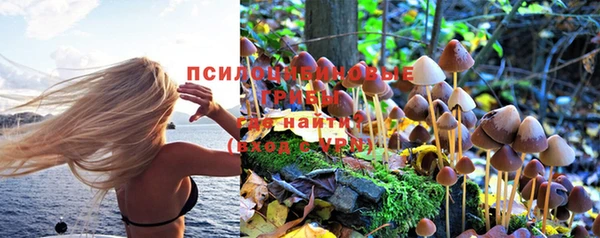стафф Алексеевка