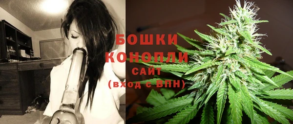 бошки Алексин